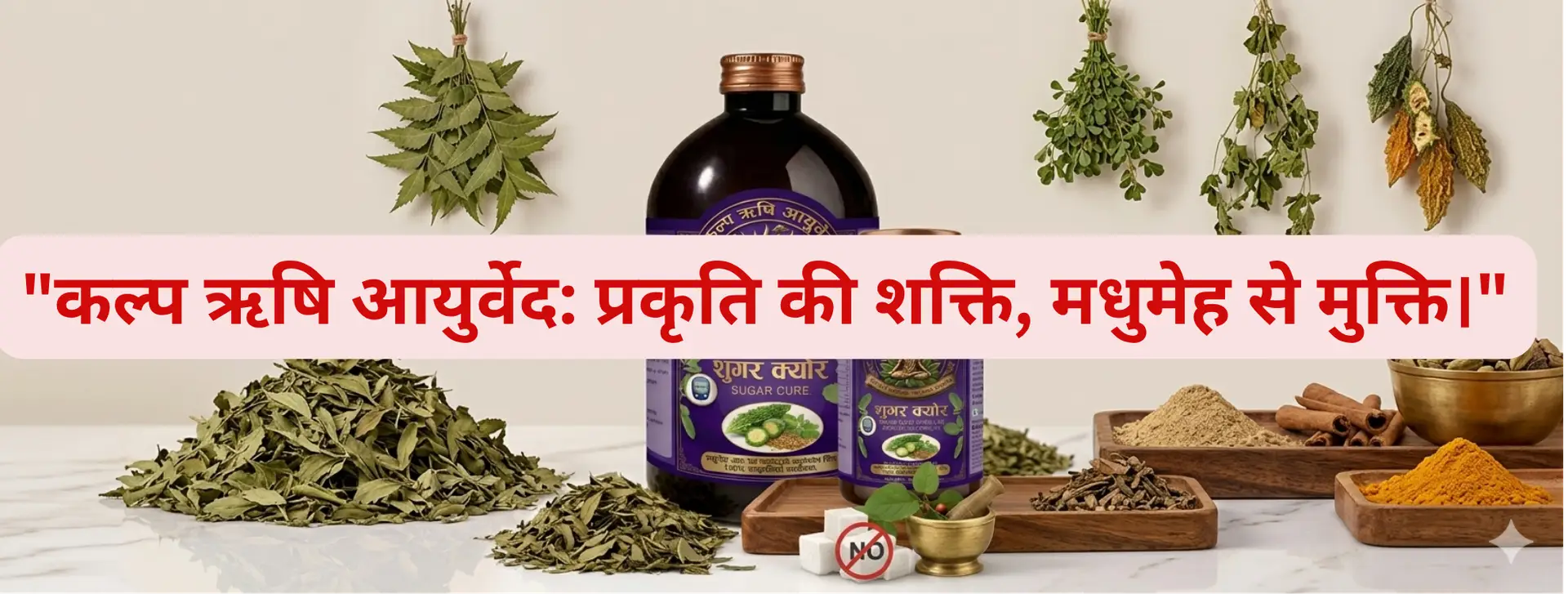 कल्प ऋषि आयुर्वेद प्रकृति की शक्ति, मधुमेह से मुक्ति।_20260323_225435_0000